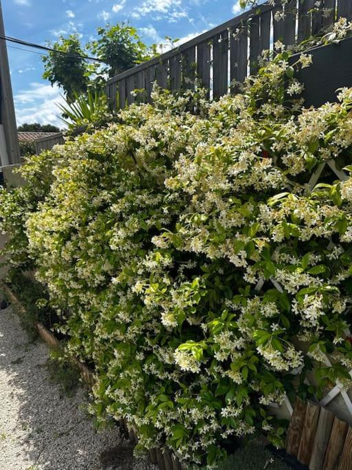 马赛Magnifique Maison Avec Jardin别墅 外观 照片